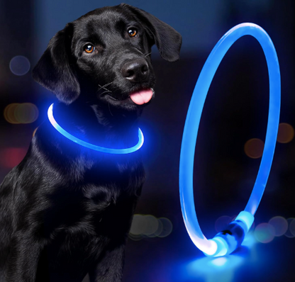 LED Dog Collar | Waterproof Rechargeable